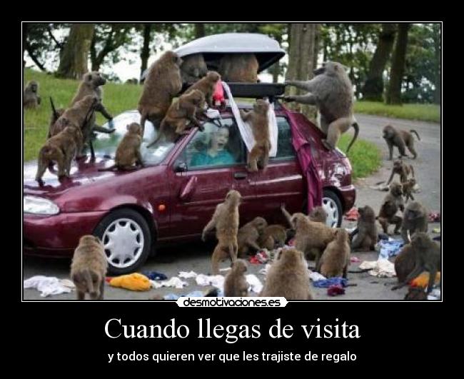 Cuando llegas de visita - 