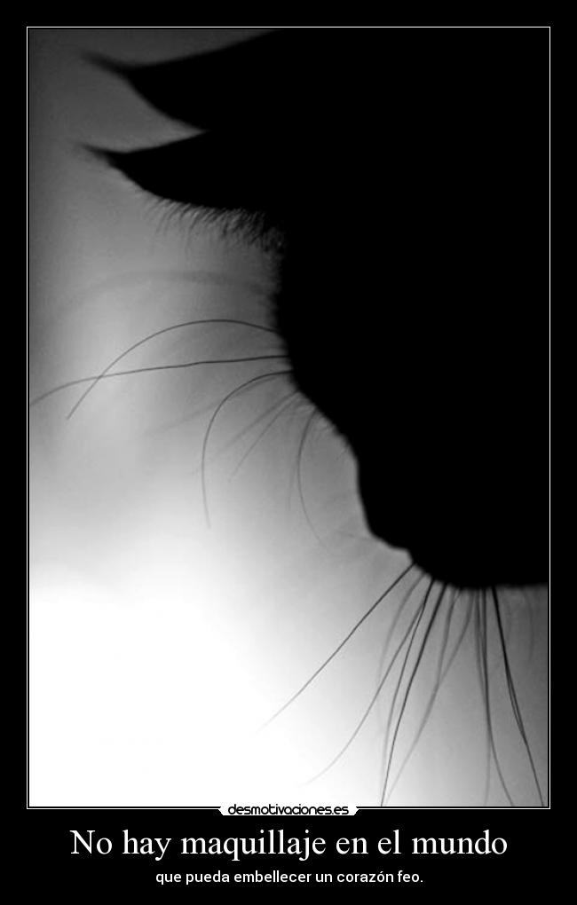 No hay maquillaje en el mundo -