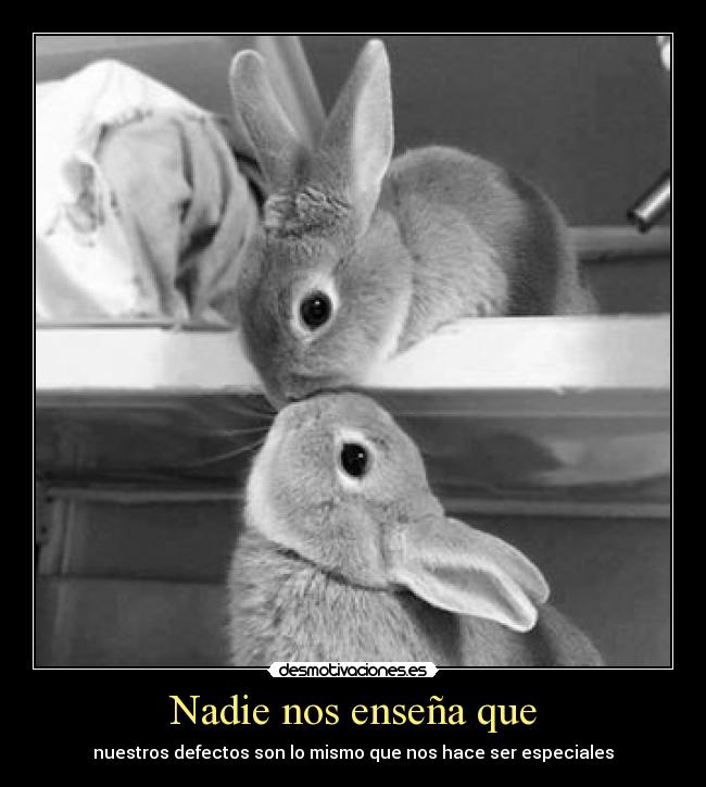 Nadie nos enseña que - nuestros defectos son lo mismo que nos hace ser especiales
