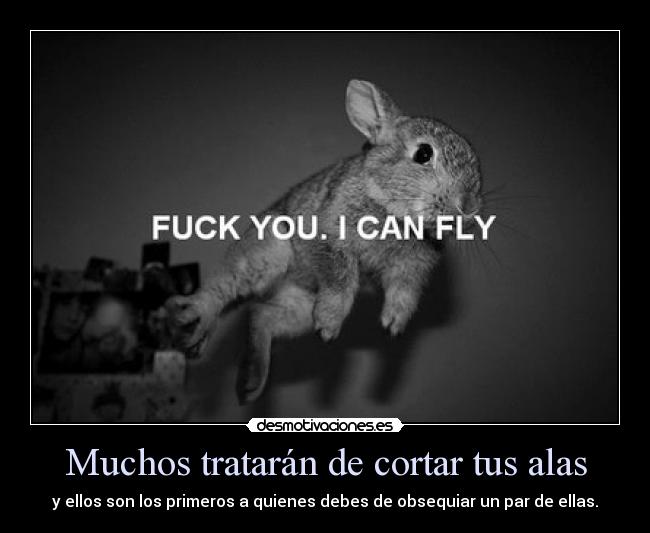 Muchos tratarán de cortar tus alas - y ellos son los primeros a quienes debes de obsequiar un par de ellas.