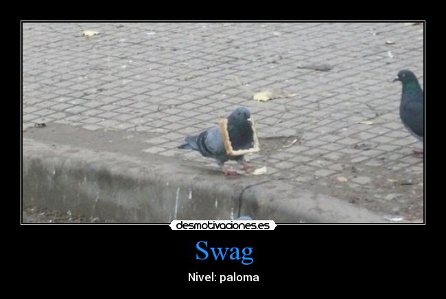 carteles nivel swag editado jaidefinichon desmotivaciones