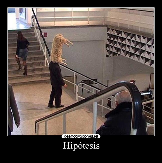 Hipótesis - 