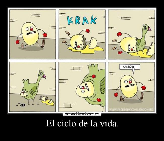 El ciclo de la vida. - 
