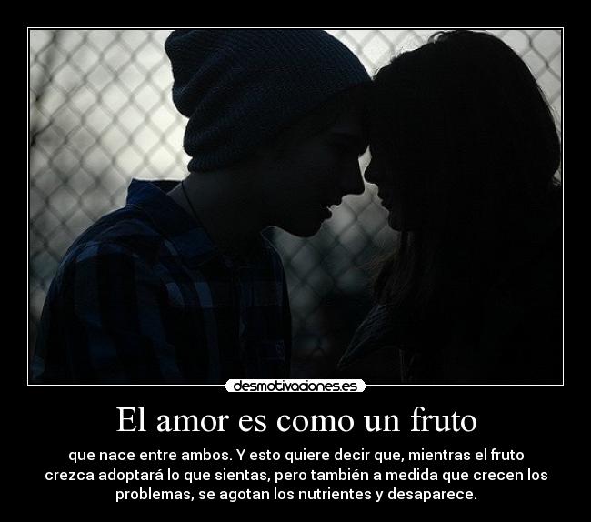 El amor es como un fruto -