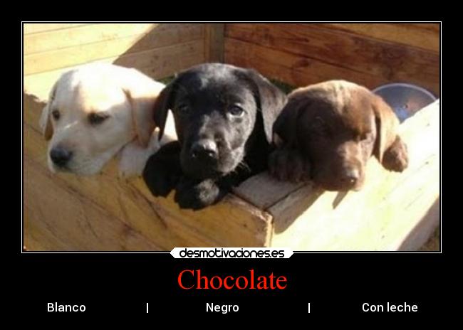 carteles fuente niknak79 chocolate desmotivaciones