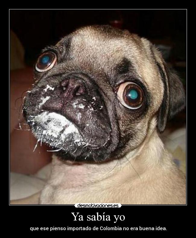 Ya sabía yo -