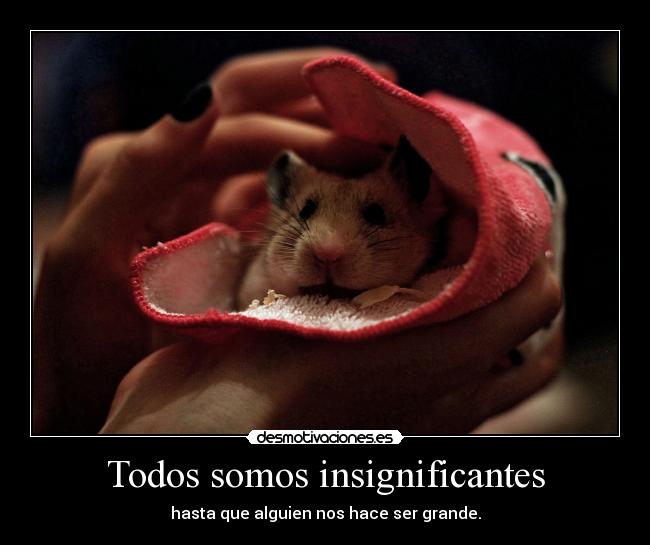 carteles telyg ejercitodemar yahoramevuelvopokehipster desmotivaciones