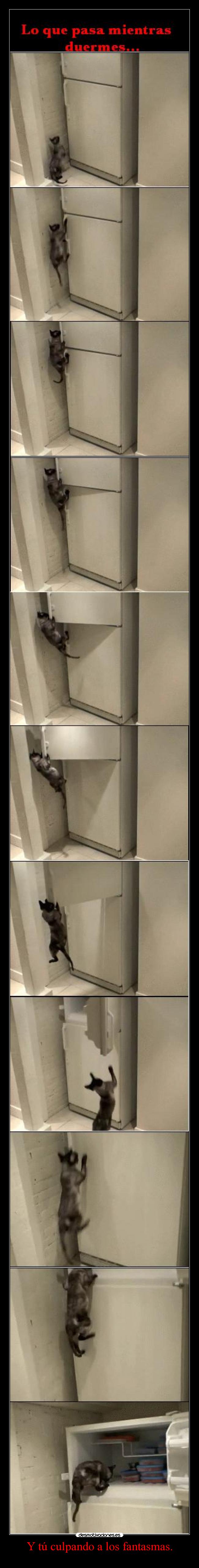 Y tú culpando a los fantasmas. -