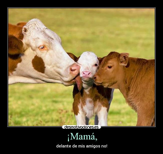 ¡Mamá, - delante de mis amigos no!