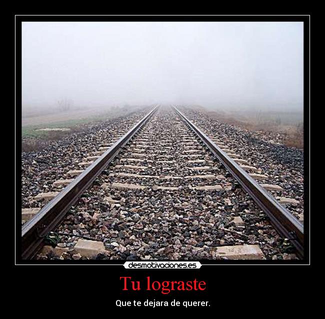 Tu lograste - 