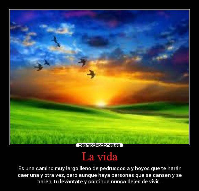 La vida - Es una camino muy largo lleno de pedruscos a y hoyos que te harán
caer una y otra vez, pero aunque haya personas que se cansen y se
paren, tu levántate y continua nunca dejes de vivir...