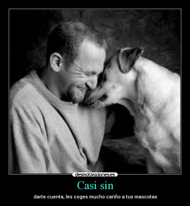 Casi sin - darte cuenta, les coges mucho cariño a tus mascotas