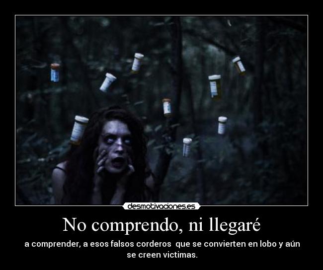 No comprendo, ni llegaré -