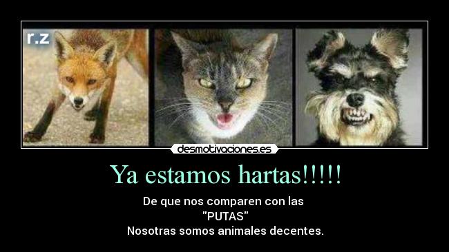 Ya estamos hartas!!!!! - De que nos comparen con las 
PUTAS
Nosotras somos animales decentes.