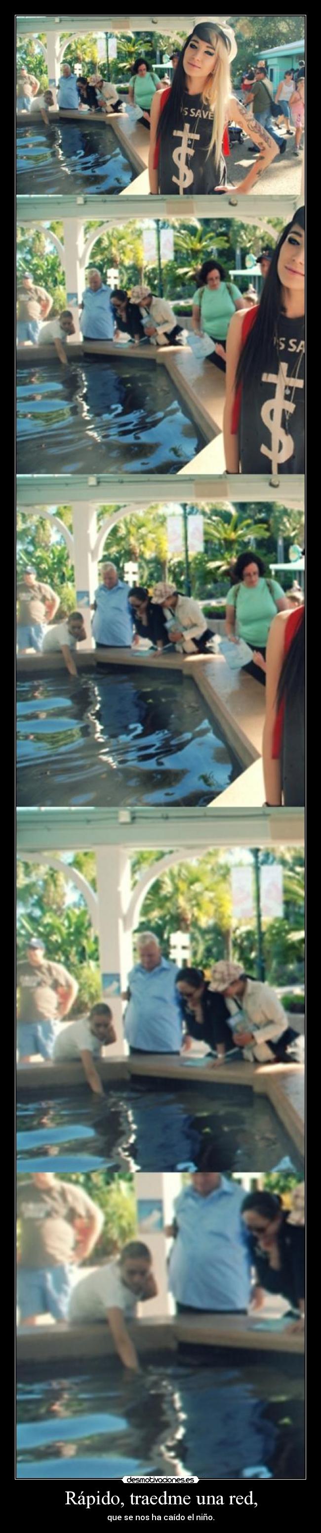 Rápido, traedme una red, -