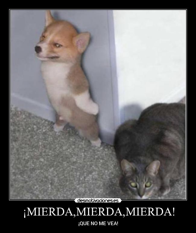 ¡MIERDA,MIERDA,MIERDA! - ¡QUE NO ME VEA!