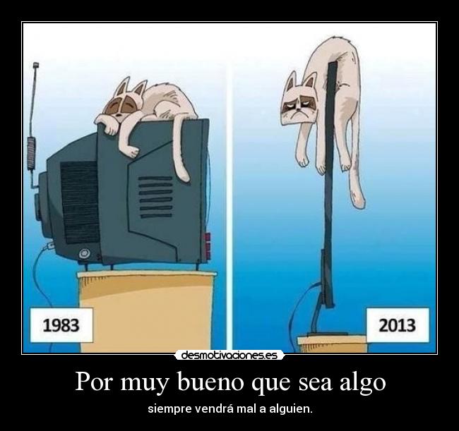 carteles gatoshumor vida tele desmotivaciones