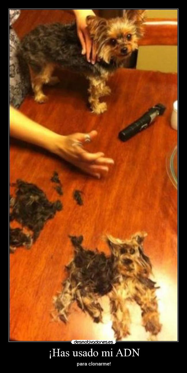 ¡Has usado mi ADN - 