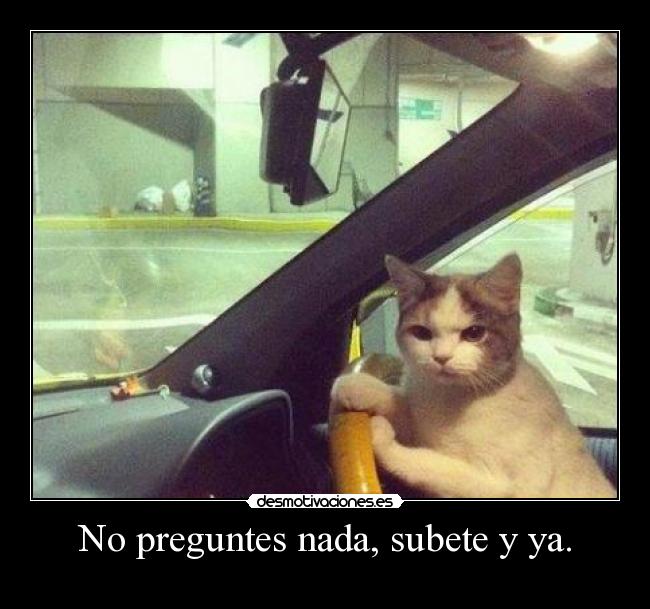 carteles wake when september ends desmotivaciones