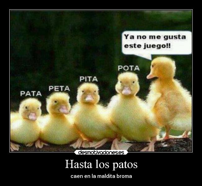 Hasta los patos - caen en la maldita broma