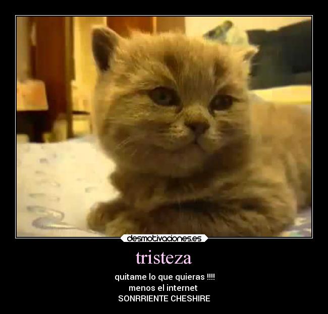 tristeza -