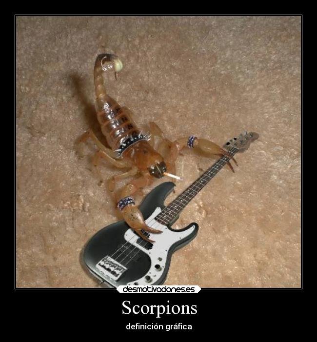Scorpions -