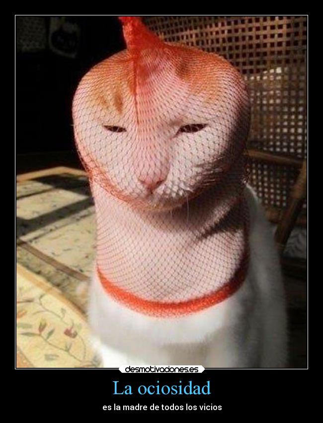 La ociosidad - es la madre de todos los vicios