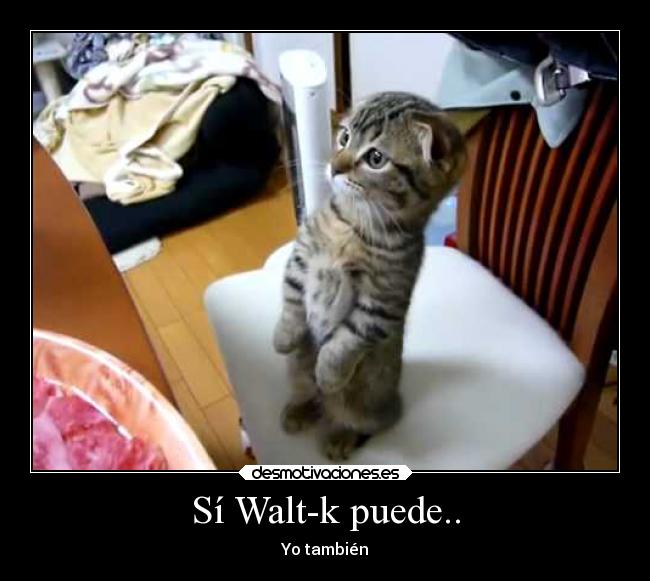 Sí Walt-k puede.. -