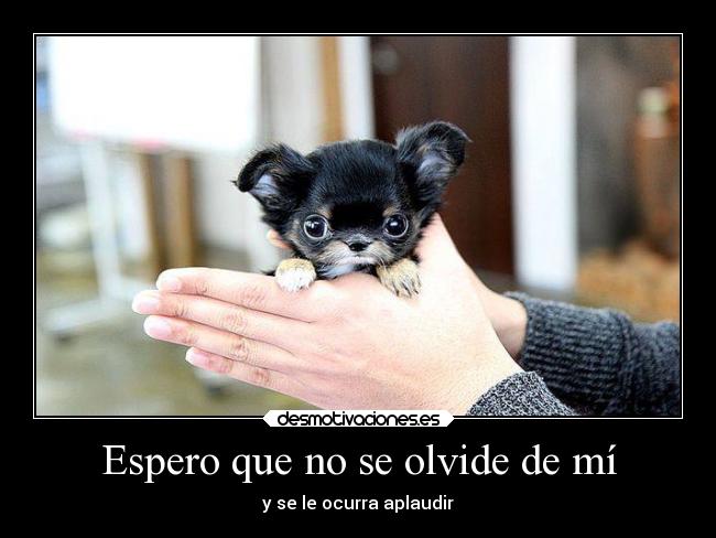 Espero que no se olvide de mí - y se le ocurra aplaudir