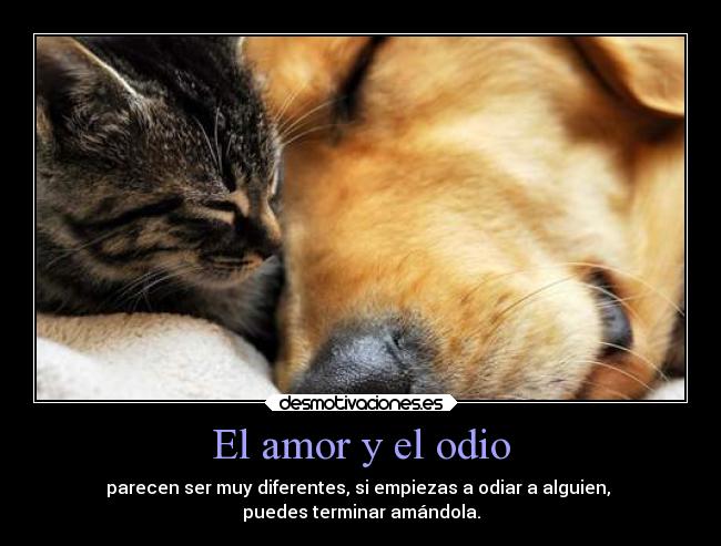 El amor y el odio - parecen ser muy diferentes, si empiezas a odiar a alguien, 
puedes terminar amándola.