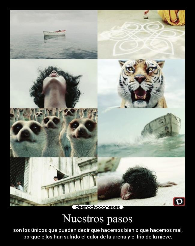 Nuestros pasos - son los únicos que pueden decir que hacemos bien o que hacemos mal,
porque ellos han sufrido el calor de la arena y el frio de la nieve.