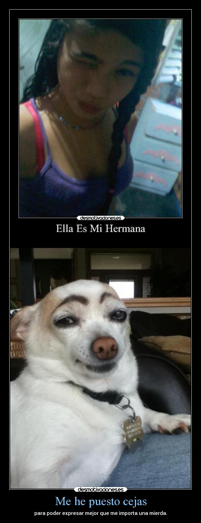 Me he puesto cejas - 