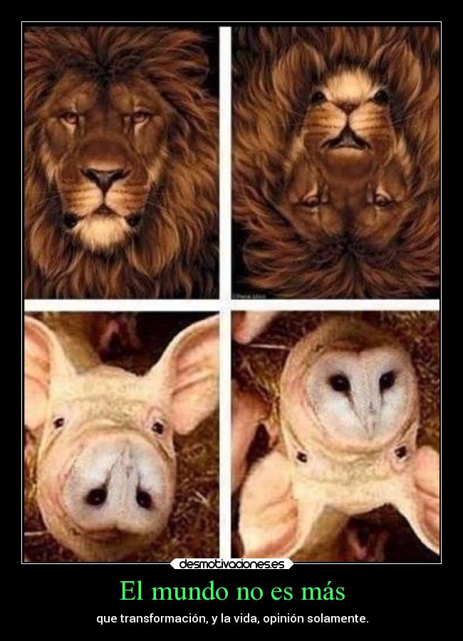 El mundo no es más -