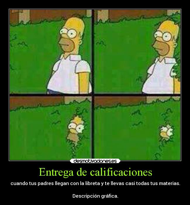 Entrega de calificaciones - 