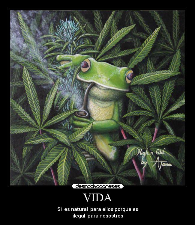 VIDA - Si es natural para ellos porque es
ilegal para nosostros