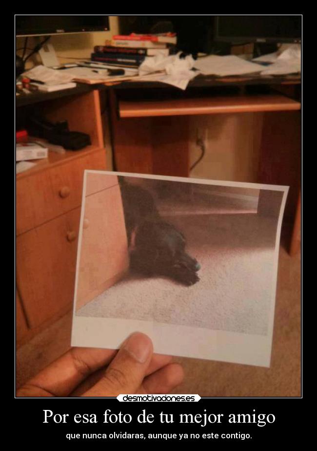 Por esa foto de tu mejor amigo - que nunca olvidaras, aunque ya no este contigo.
