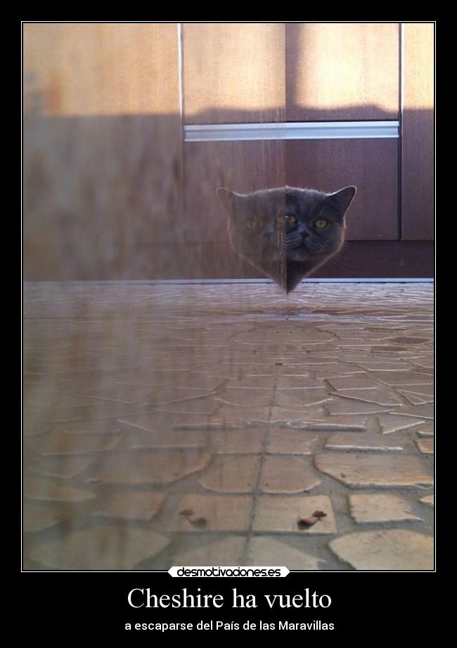 Cheshire ha vuelto - a escaparse del País de las Maravillas