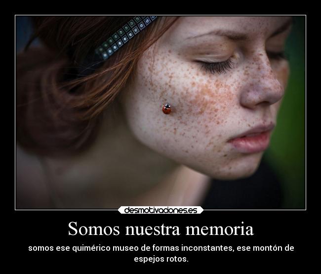 Somos nuestra memoria - 