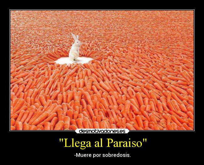 Llega al Paraiso - -Muere por sobredosis.