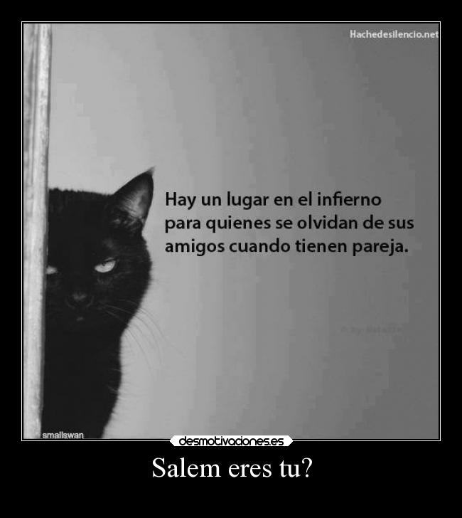 carteles animales bla bla mas bla desmotivaciones