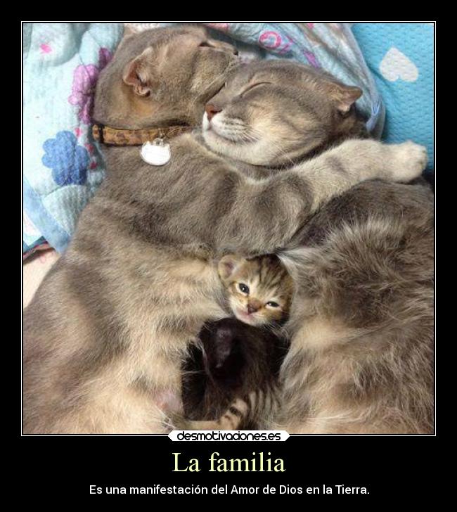 La familia - 