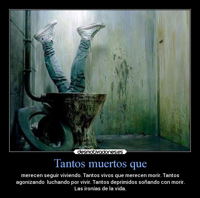 Tantos muertos que - 