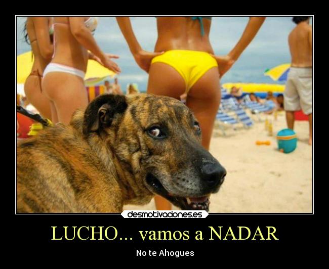 LUCHO... vamos a NADAR - No te Ahogues