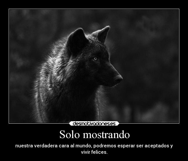 carteles mundo pongo eso porque se que poner xddddd quiennosabes lobo whitewolfqns caca guta snif desmotivaciones