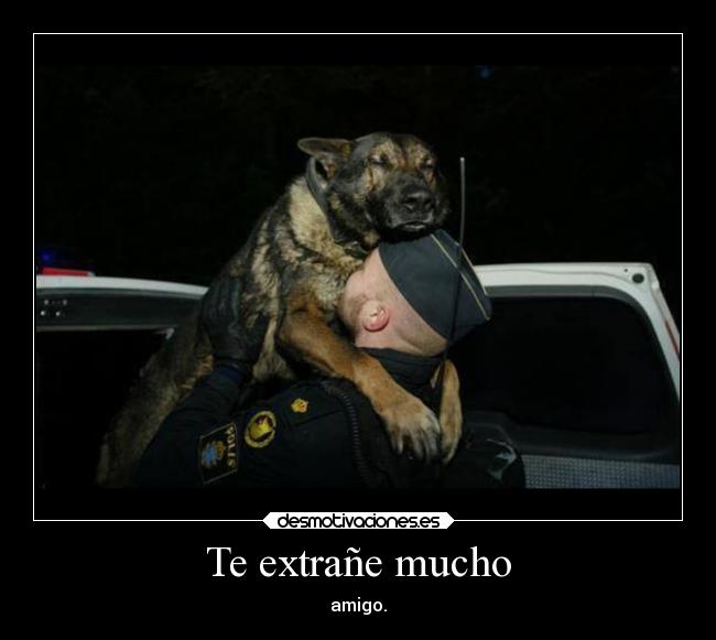 Te extrañe mucho - amigo.