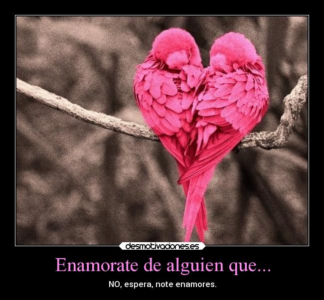 Enamorate de alguien que... - NO, espera, note enamores.