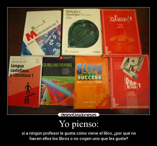 Yo pienso: - si a ningún profesor le gusta cómo viene el libro, ¿por qué no
hacen ellos los libros o no cogen uno que les guste?