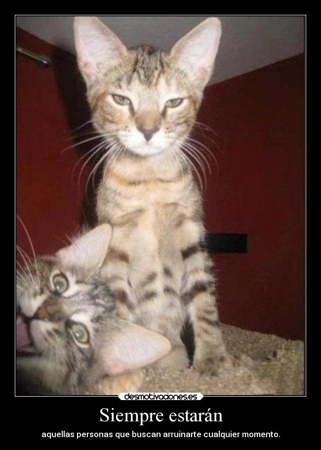 Siempre estarán - 