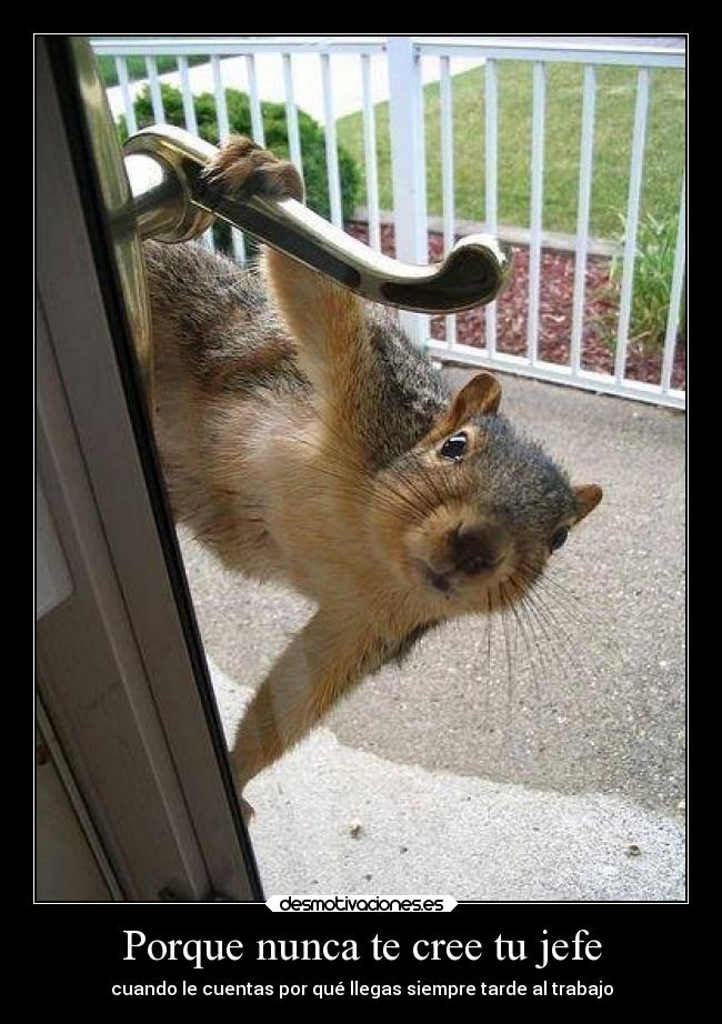 Porque nunca te cree tu jefe - cuando le cuentas por qué llegas siempre tarde al trabajo