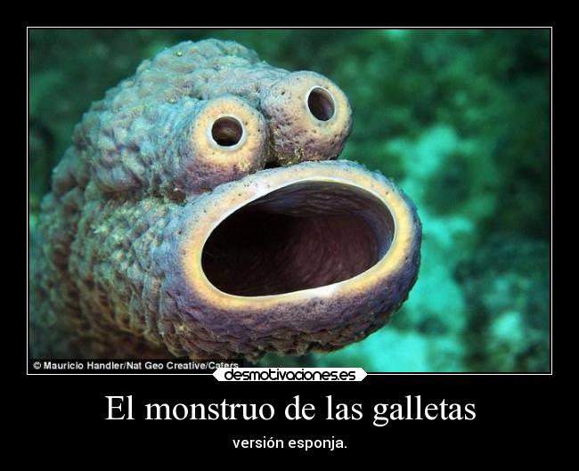 El monstruo de las galletas - versión esponja.